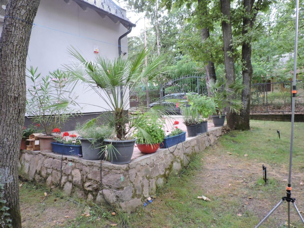 Szepezd Oak Villa Balatonszepezd Dış mekan fotoğraf